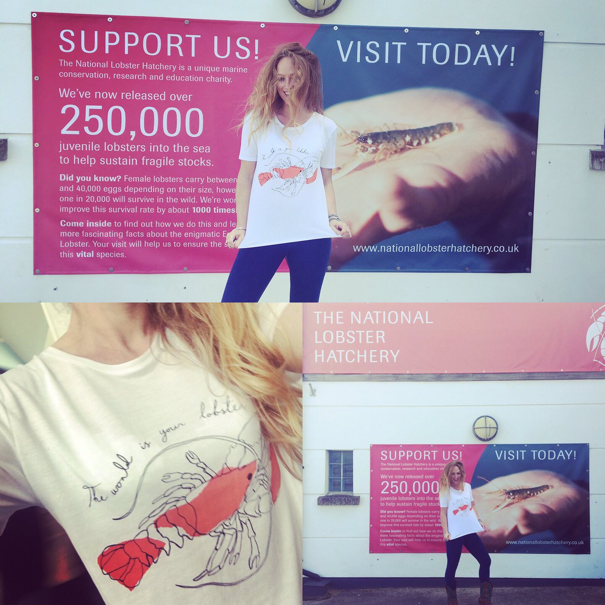 PadstowMermaid's tweet photo. Dear @marksandspencer you should #buyonesetonefree these awesome T’s so @padstowlobster can raise and release a baby lobster back into the wild for every T shirt you sell - message me for details 🦞❤️ #lobsterlove #puttingback #sustainability #theworldisyourlobster https://t.co/2aY10CYNCZ