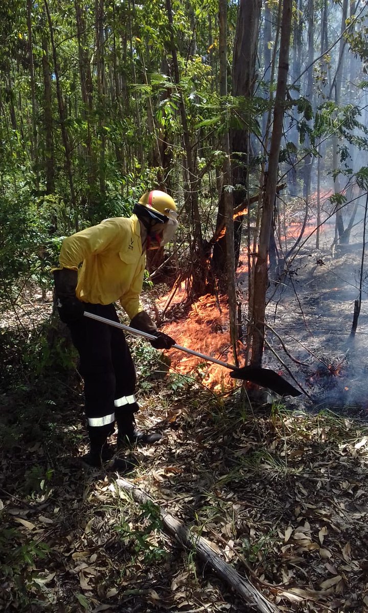 wo_fire's tweet image. KZN Fire Alert: Fire 1: Vryheid Team has successfully suppressed a fire. 
Fire 2: Eshowe Team dispatched to Nkanini Community at Umlalazi Municipality 
Fire 3: Manguzi Team has been called to assist at KwaNyamazane  SAPPI Plantation
#SavingLives
#ProtectingTheEnvironment