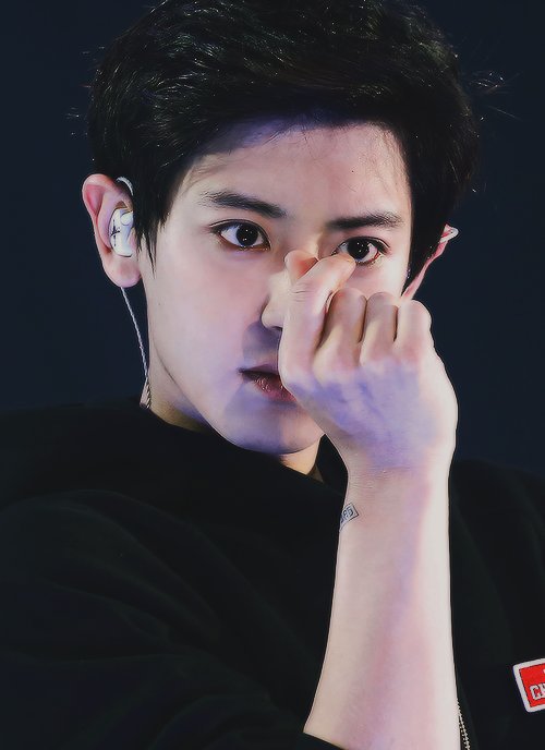 hourly chanyeol (@hourlychanyeol) on Twitter photo 