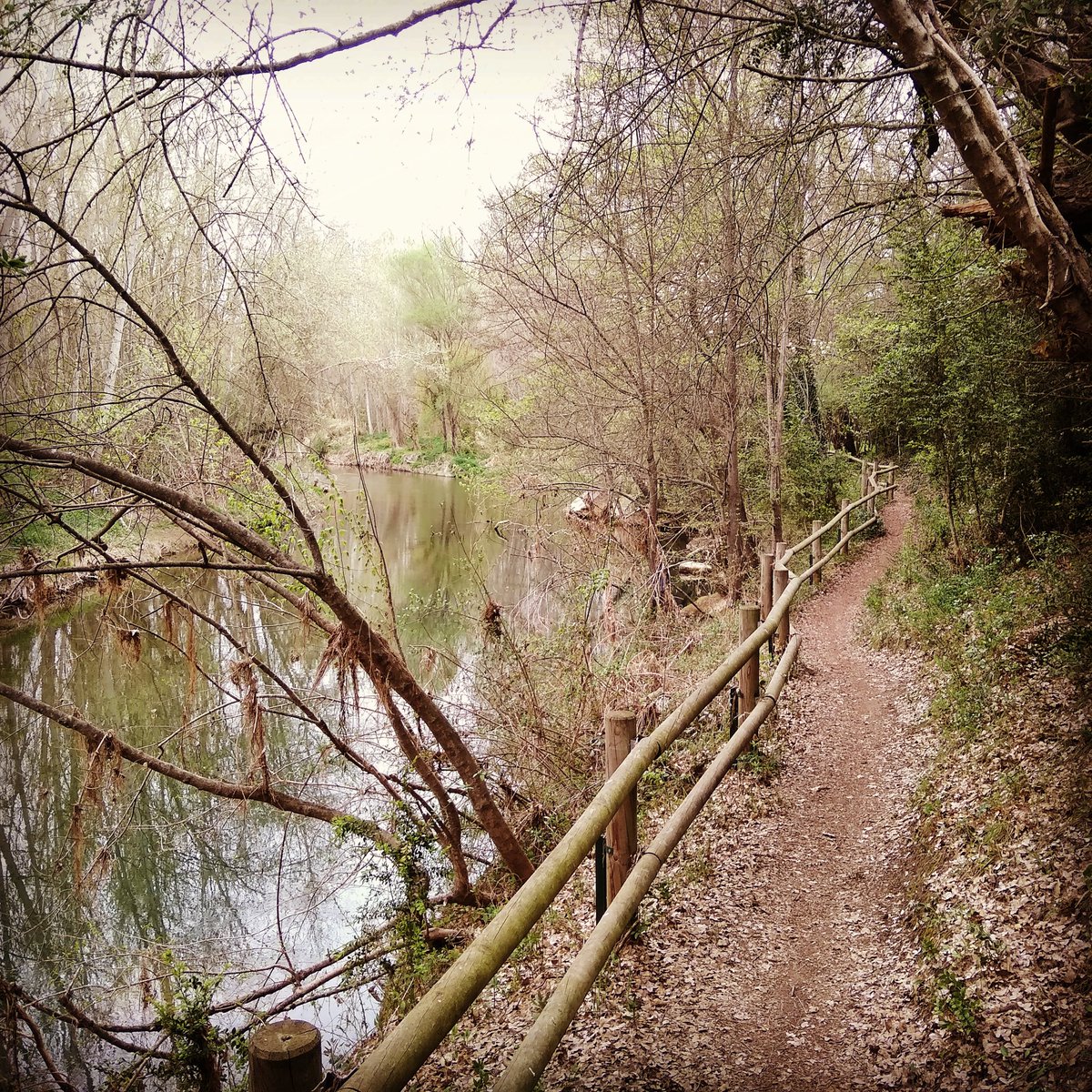 SoilTakeCare tweet media