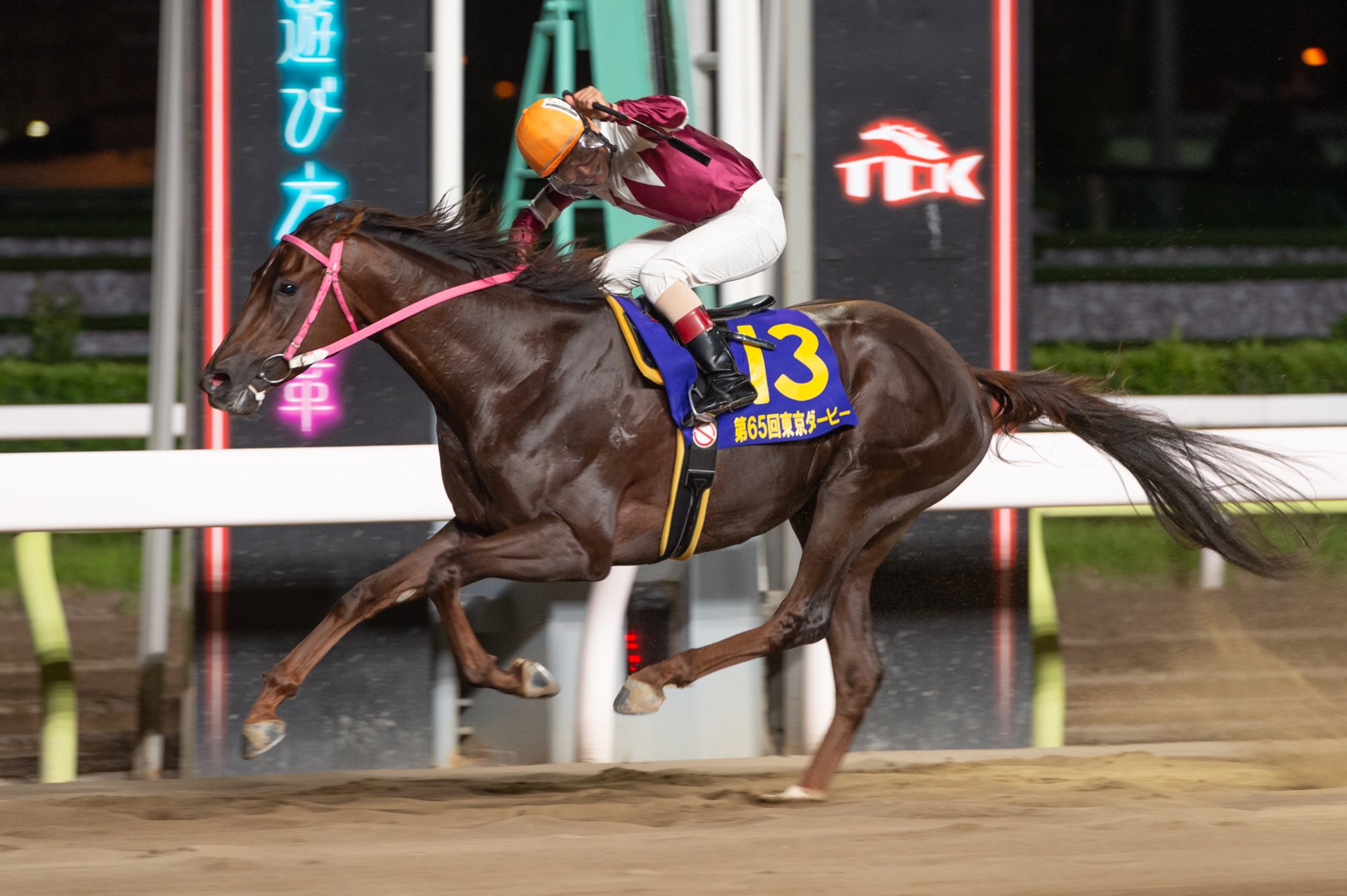東京シティ競馬 Tck 無念の羽田盃回避から復活のダービー制覇 令和最初の東京ダービー馬の称号はヒカリオーソ 牡3 川崎 岩本洋厩舎 の手に 岩本洋調教師 山崎誠士騎手にとって嬉しいダービー初制覇 山崎騎手は父 尋美調教師の そして