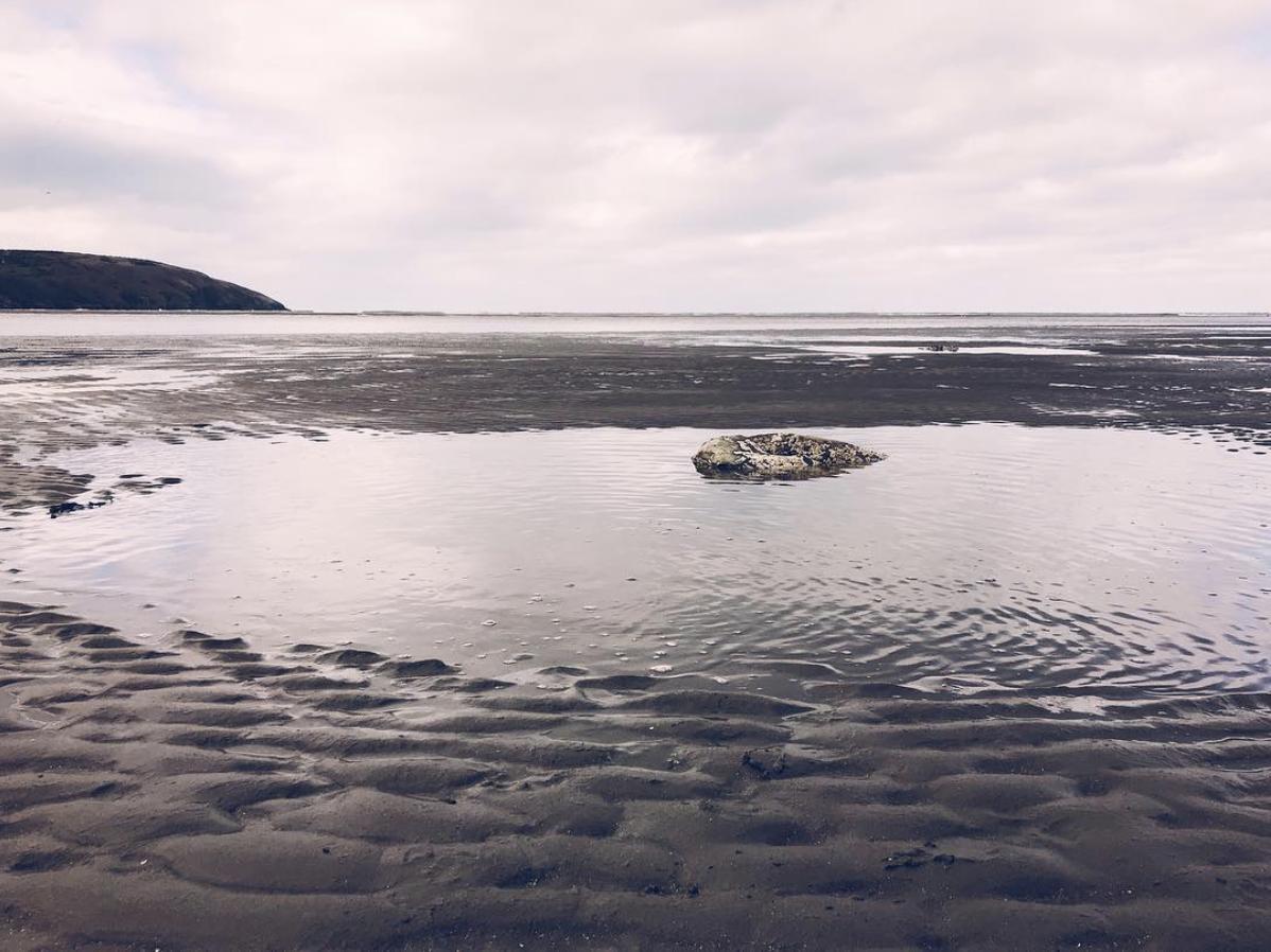 TheDOLectures's tweet photo. You are not one career. https://t.co/0cU6828MVA
