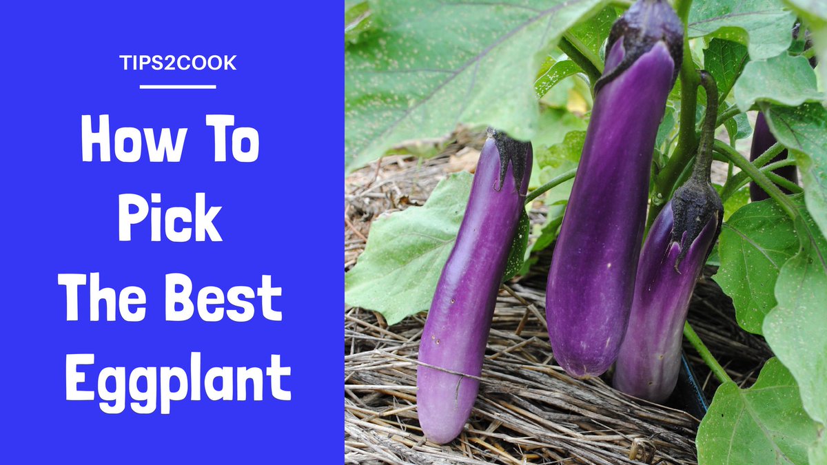 Tips2Cook's tweet image. How to pick the best Eggplant: youtu.be/rtrBQxhQhrw

#inspiration #wholefood #followme #glutenfree #foodgram #delicious #livinghealthy #feedfeed #breakfast #foodporn #healthyfood #healthyeating #healthfood #foodie #lifestyle #cleaneats #food #wholefoods #nutrition #cleaneating