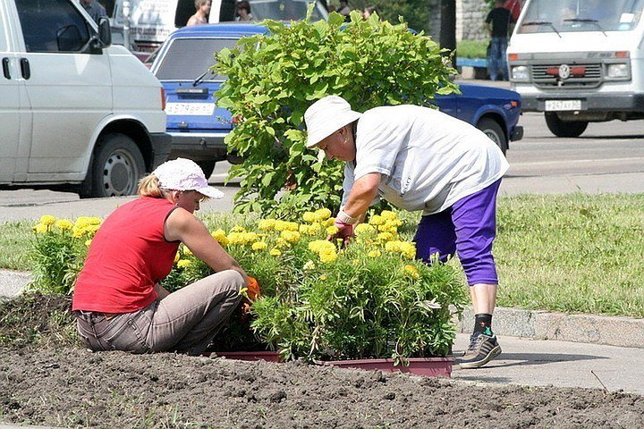 KPBelgorod's tweet photo. В этом году в Белгородской области благоустроят 67 дворов и 30 парков

Всего регион выделит 19 миллионов, из федерального бюджета будет выделено на эти цели 450 миллионов
https://t.co/OCSuJlCIDt https://t.co/qMybyY1VQ7