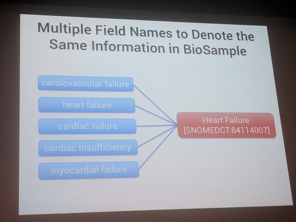 giuseppe_futia's tweet image. We need to &quot;turn strings into things&quot;, @rafalsgoncalves from @stanford describes issues related to metadata produced by humans @eswc_conf #ESWC2019 cc @giovannigarifo @mehdi_khrichfa @CosmaVergari