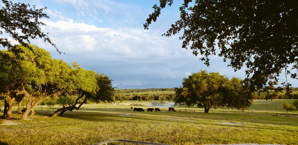 mobashellbe's tweet image. Can't beat last nights view watching the storm roll in.