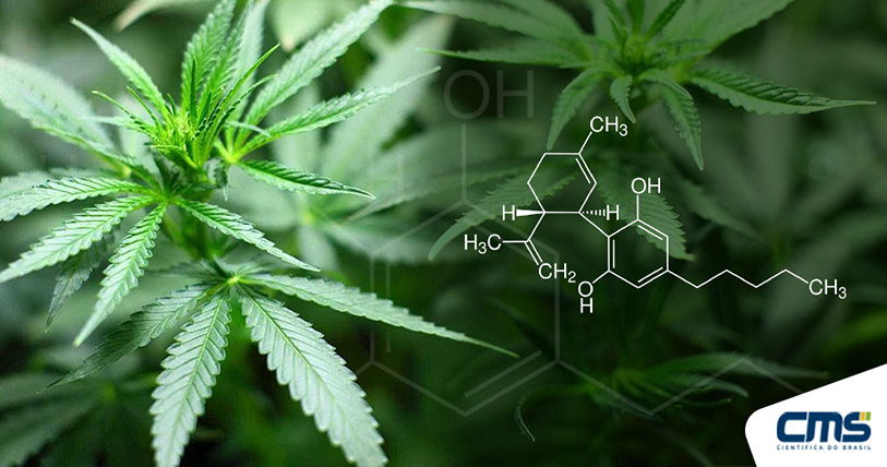 cmscientifica1's tweet photo. O recente avanço na pesquisa dos #canabinoides, combinado com o aumento da demanda por produtos, resultou em um foco maior na #análise de amostras e controle de qualidade. Saiba mais: https://t.co/KFSEMUndoK https://t.co/0HFJfXz9Uf