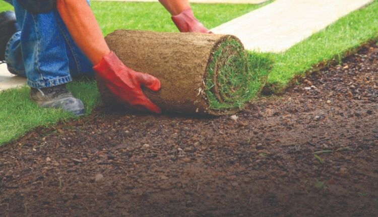 SKBLandscape's tweet photo. To achieve the green lawn you deserve, you must understand the proper sod for the job | #Bermuda #Zoysia #SKBTurf https://t.co/ruSCRHBL0e https://t.co/Gqj9iYYIZy