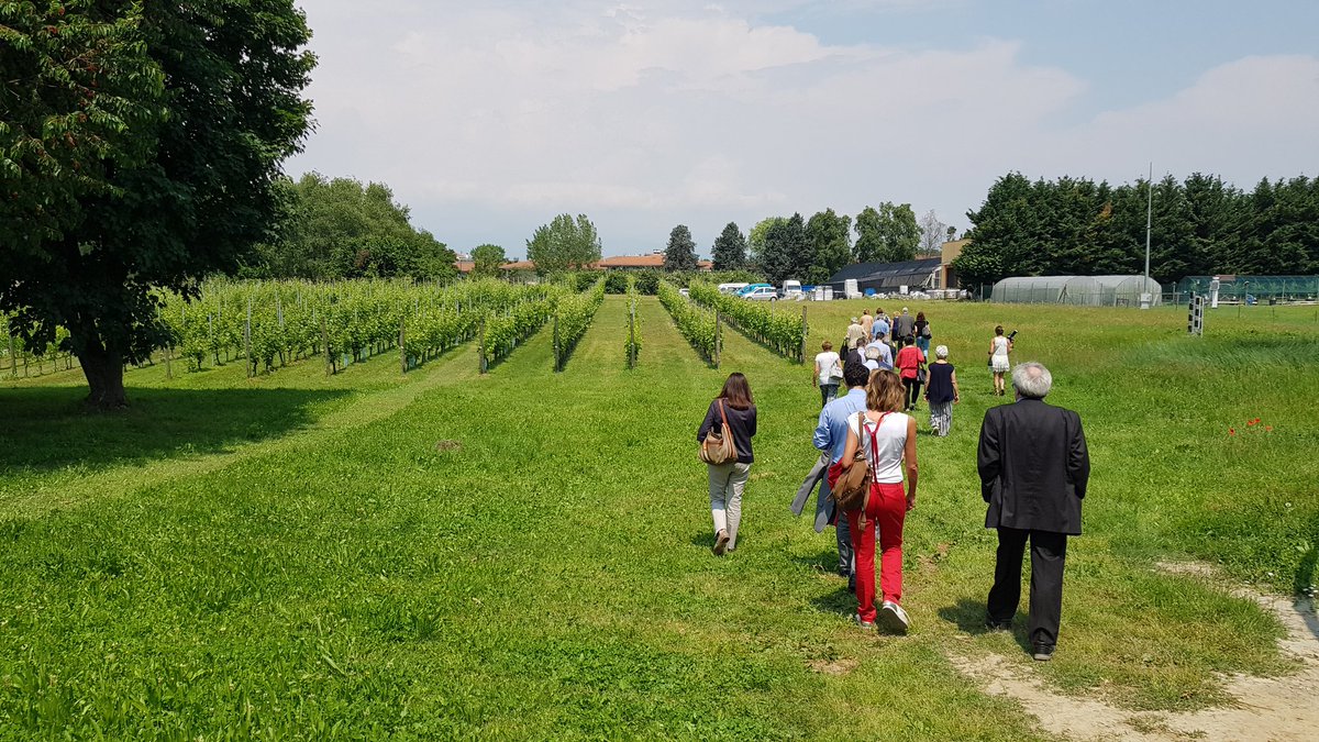 AgriNewTech tweet media