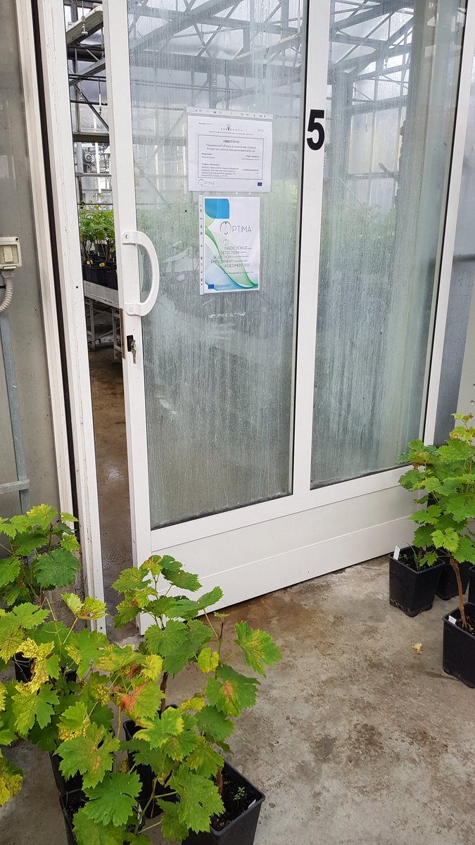 AgriNewTech tweet media