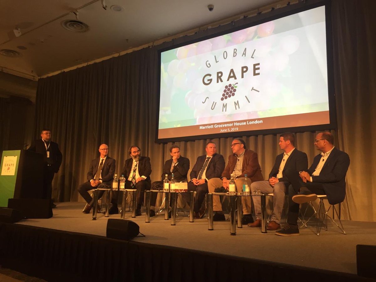 GrapeSummit's tweet photo. ¿Cuál es el futuro para la uva de mesa? Un panel de expertos internacionales lo analizan en el Global Grape Summit 2019 🍇#globalgrapesummit #LondonProduceShow #celebratingFRESH https://t.co/Lghx8RUFcM
