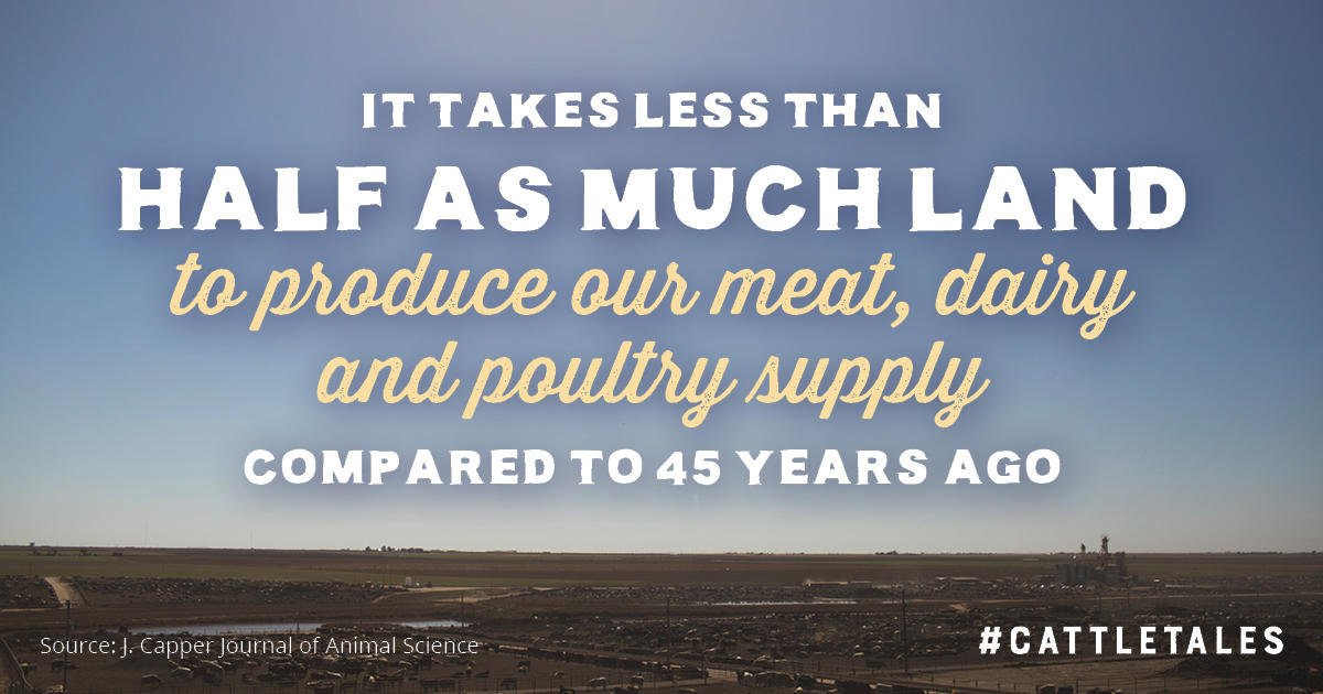 CattleTales's tweet photo. Sustainability

It's caught headlines, but it's not new nor a trend, it's just how things are done to keep progressing forward, and has been the focus for many generations. On this #WorldEnvironmentDay we hat tip to the original environmentalists. #CattleTales https://t.co/XoPZZxAj2x