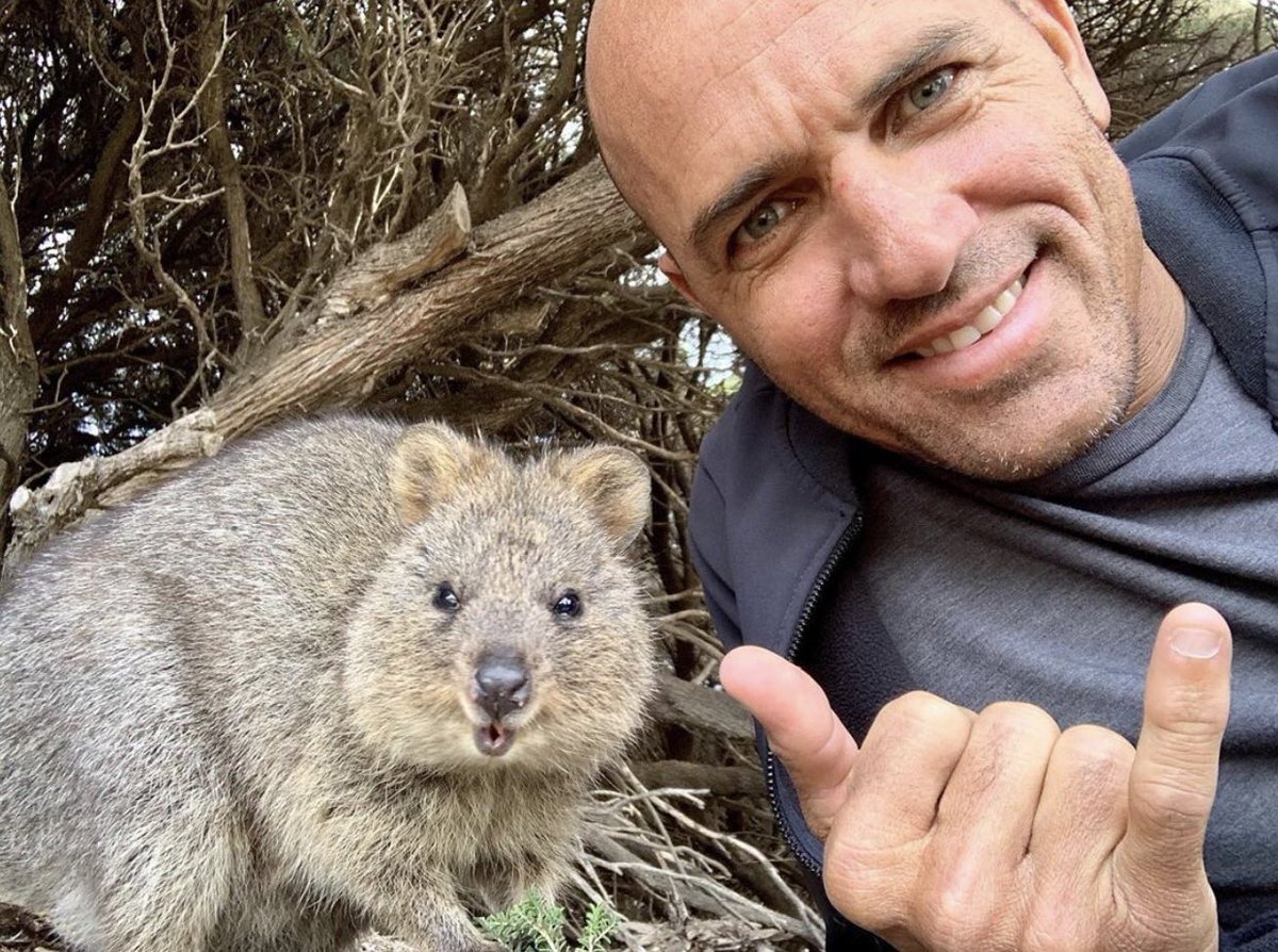 What a cracker of a #quokkaselfie! Nice work <a href="/kellyslater/">Kelly Slater</a> <a href="/RottnestIsland/">Rottnest Island</a> <a href="/WestAustralia/">Western Australia</a> <a href="/Australia/">Australia</a> <a href="/wsl/">World Surf League</a> <a href="/SurfingAus/">Surfing Australia</a> #rottnestisland 🌟
instagram.com/p/ByU1MfcjBZp/