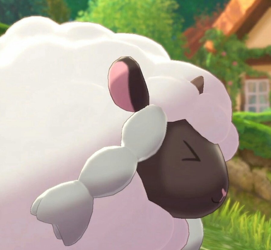 Re Cycle Of The Sheep On Twitter I M Gonna Cry Look At It So Round So Fluffy The Little Horns Braids Heart Shaped Nose Horizontal Pupils There Is Not A More Perfect Pokemon