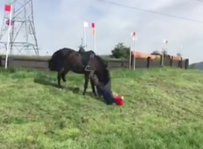 EventingConnect's tweet image. Are ponies the best or worst teachers? - VIDEO Break #EquestrianProblems #HardLessons eventingconnect.today/2019/06/05/are…