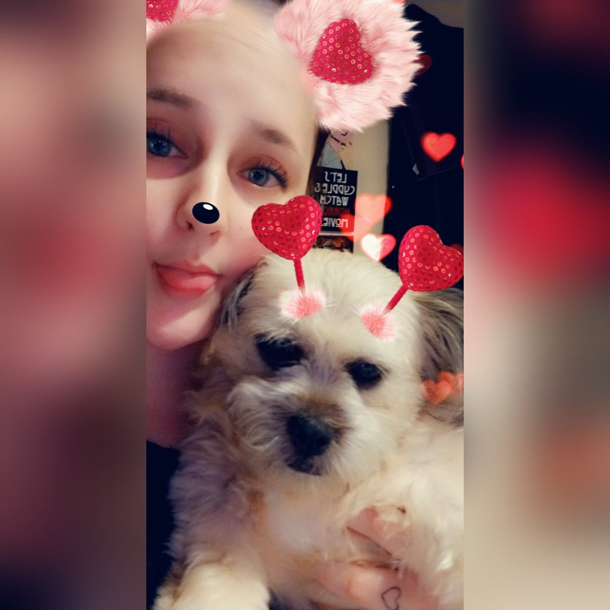 katiee_0xx's tweet image. I love my little mutt🐾. #DogsOfTwitter #MuttsOfTwitter #LittleDogsAreCool