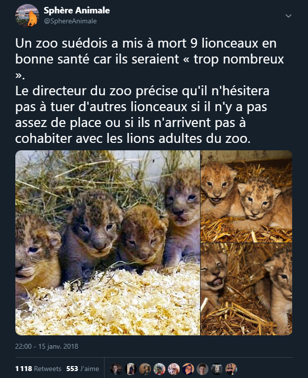 _Naeray's tweet photo. "Visiter un zoo n'est ni éducatif ni amusant, c'est comme faire le tour d'une prison pour innocents." https://t.co/ae9V7Bh715