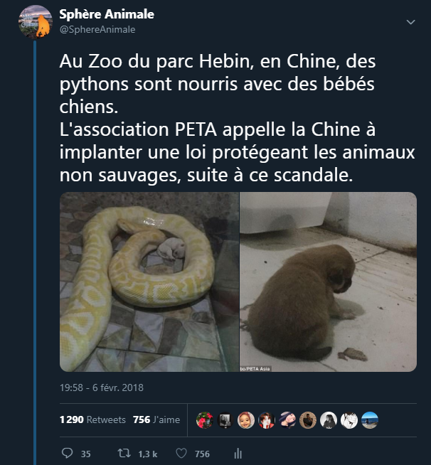 _Naeray's tweet photo. "Visiter un zoo n'est ni éducatif ni amusant, c'est comme faire le tour d'une prison pour innocents." https://t.co/ae9V7Bh715