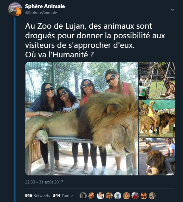 _Naeray's tweet photo. "Visiter un zoo n'est ni éducatif ni amusant, c'est comme faire le tour d'une prison pour innocents." https://t.co/ae9V7Bh715
