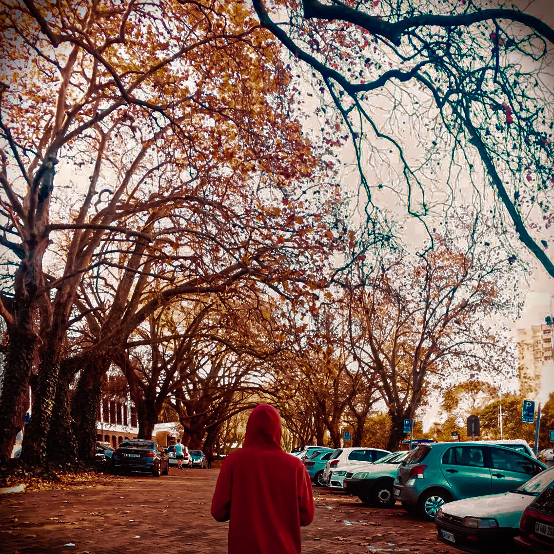 DavidChasi52's tweet photo. Find the beauty within your surroundings #rondebosch https://t.co/yGosURM978
