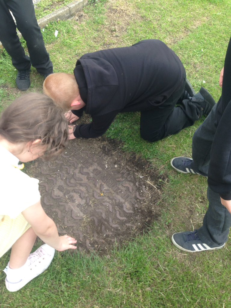 YsgolCC's tweet photo. #year4st and #year4na went on a nature scavenger hunt today. https://t.co/cjvFeUFP18