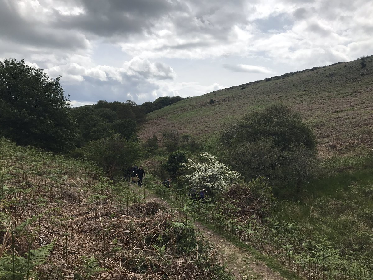 Lovely day in the Quantocks measuring rivers with Year 10 Geography students @bcsgeolegend <a href="/BeechenCliff/">Beechen Cliff School</a>
