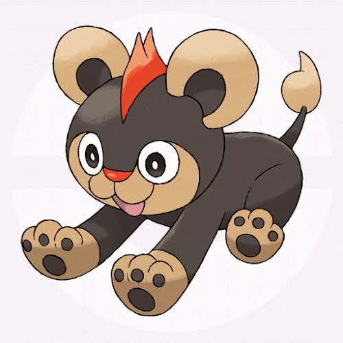 神星キリト Pa Twitter シシコ カエンジシ 第一進化 分岐進化 フラダリor ザマゼンタ