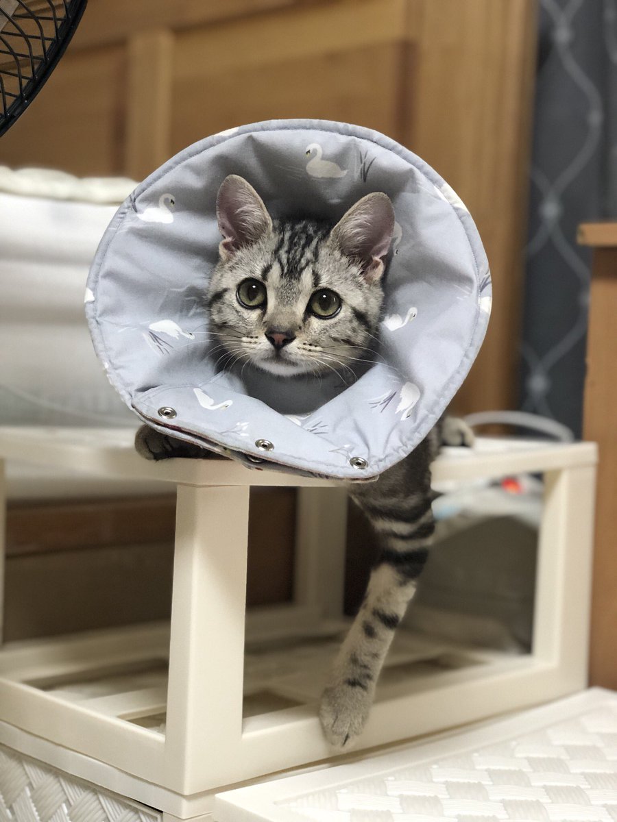 공주 마마🙇‍♀️🙇‍♂️🙇‍♀️🙇‍♂️🙇‍♀️🙇‍♂️         ( 오냐. )
                                                          Ⅴ