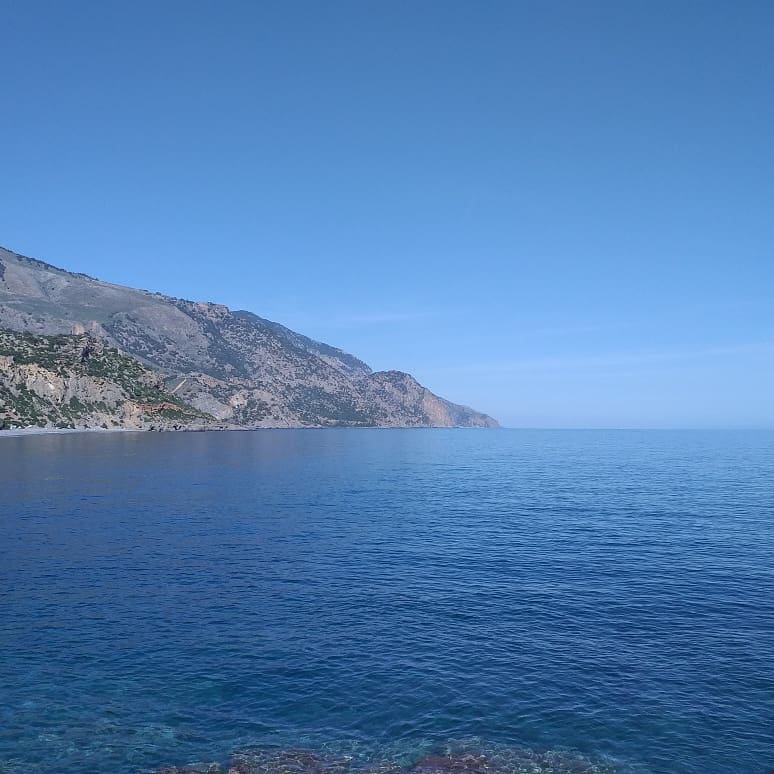 Cretan Chambers tweet media