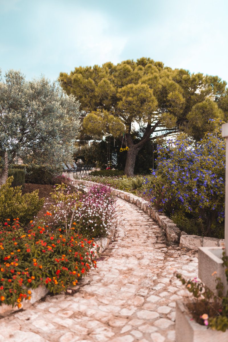 We respect nature, as everybody should do. We love Mother Earth 🌍🌎🌏

📧 info@artemisiaresort.com
☎️ 0932/642575
📍 Via Enrico Caruso, 13 - Ragusa

#WorldEnvironmentDay #WorldEnvironmentDay2019