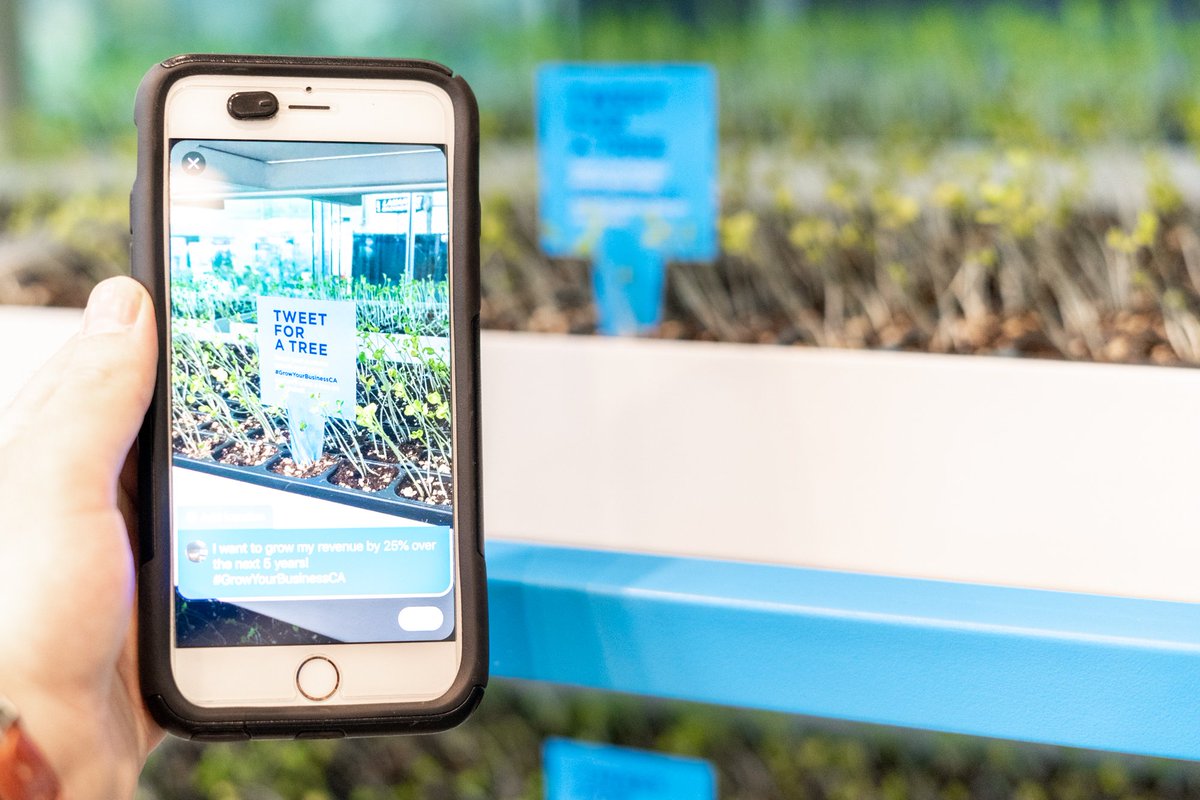 SalesforceCA's tweet photo. We've partnered with @TreeCanada to make the world a little greener. Come find us at #WMTS2019 to take part! For every biz growth goal you share using #GrowYourBusinessCA, we will plant a tree! 🌱 https://t.co/orTVxzoHwg