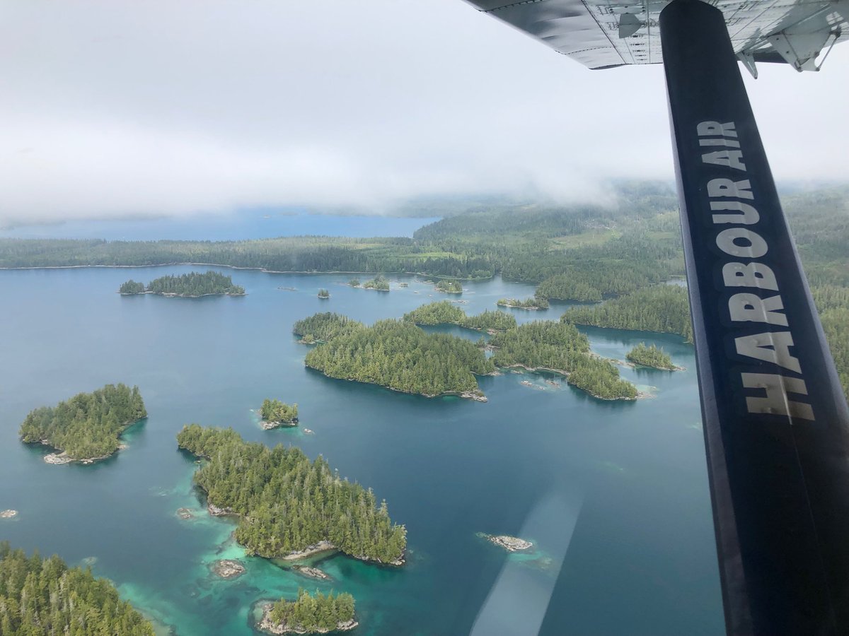 It may be hard to drive to tofino now, after flying with ⁦<a href="/HarbourAirLtd/">Harbour Air</a>⁩ #explorebc