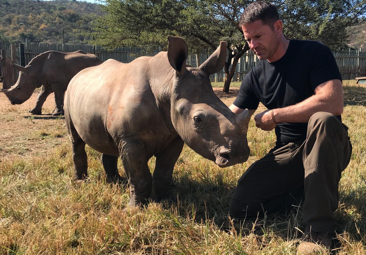 Steve Backshall tweet media
