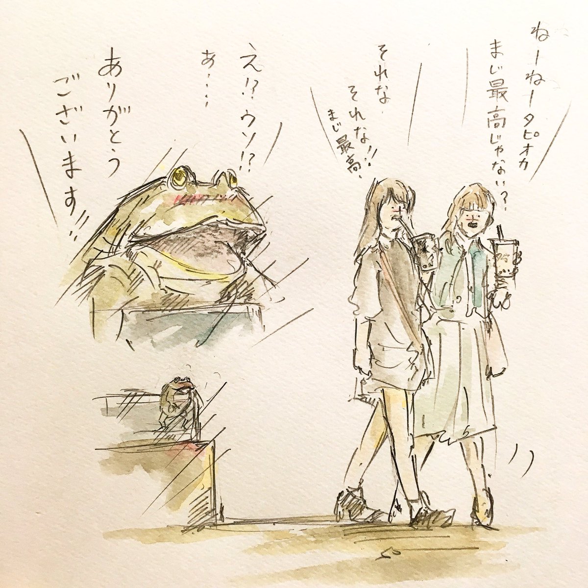 ゆるふわ昆虫図鑑 タピオカガエルの勘違い