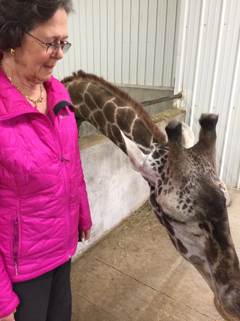 MarketplexPR's tweet image. Molly and friend