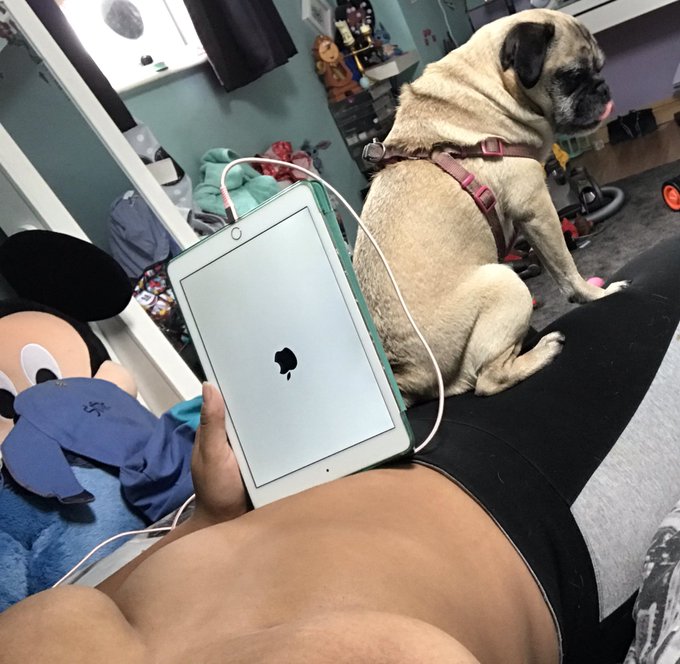 Avoiding all responsibility and bras today https://t.co/yHjy15xIiF<a href="/tag/brazilianblowout"class="tags"><span>#brazilianblowout</span></a><a href="/tag/keratin"class="tags"><span>#keratin</span></a>