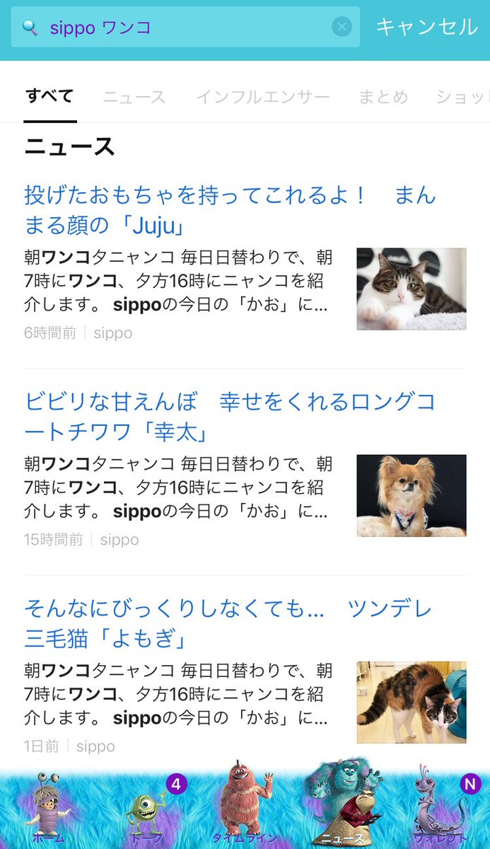 ayu_rwsh's tweet photo. うちの幸太がLINEニュースのりました🐶💗

#sippo
#LINEニュース https://t.co/QoPpoIA3lf
