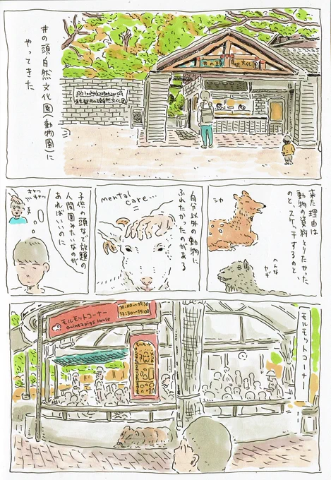 「モルモット」 