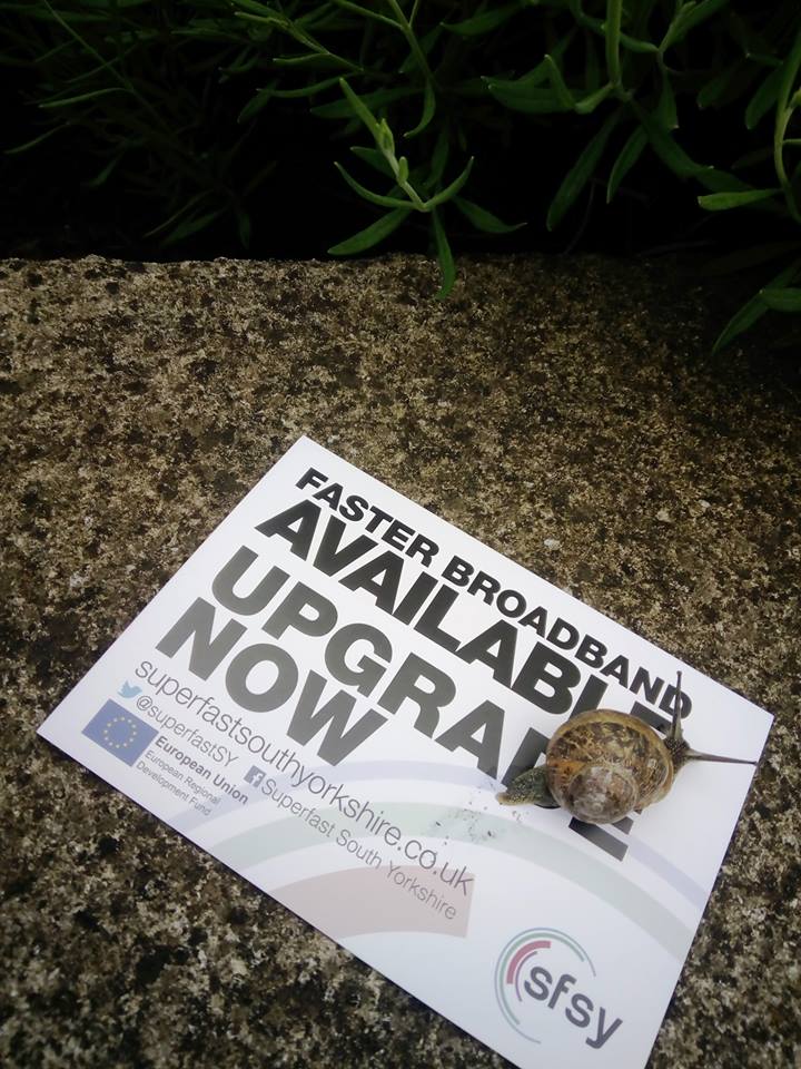 superfastSY's tweet image. Is your #broadband as slow as this snail  

You could be benefiting from #SuperfastFibre  

Get you connection up to speed! Check your postcode today&amp;gt; bit.ly/2qMHkIB  

Or register for updates &amp;gt; bit.ly/2wBpxFw  

#GoSuperfast #SouthYorkshire