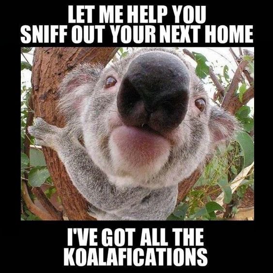 va_housing's tweet image. Looking for a new home I got Koalafications #100vets100homes #OffBaseLiving #AsmaSoldIt #REMAXliberty #rentalsToo