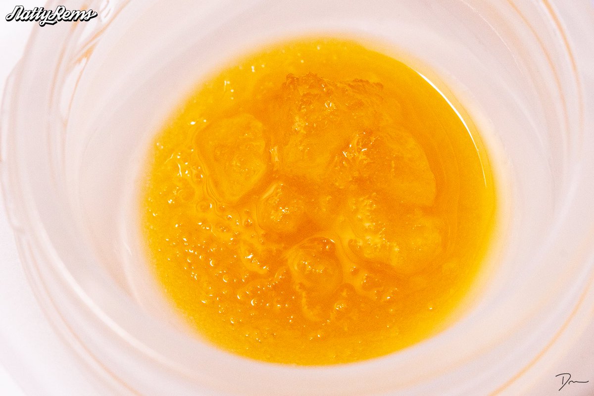 When shucked for live resin or broken up to smoke, Glue Zauce reeks of a gassy aroma with a trace of citrus and limes. The effect is ideal for moving around and talking, but be careful, this strain is also known to cause a serious case of the giggles. <a href="/lodowellness/">Lodo Wellness Center</a>
