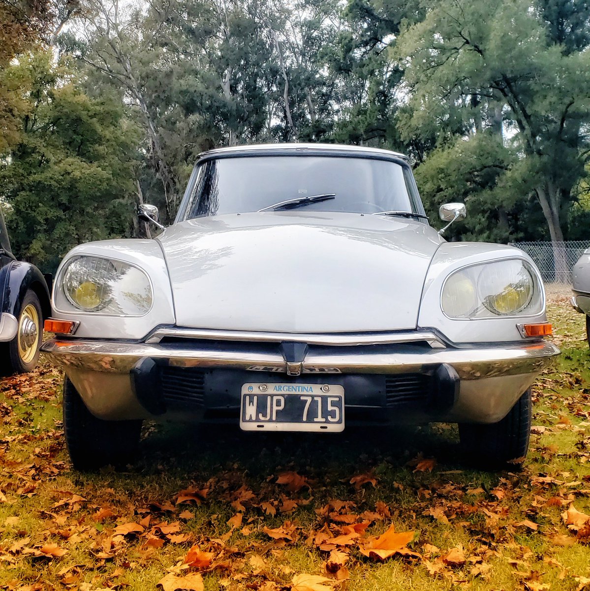 #Citroën100
¡Celebramos nuestros 100 años de historia con un día de campo junto a los #CitroënOrigins de lo la fanáticos de Citroën.😍📸🎂