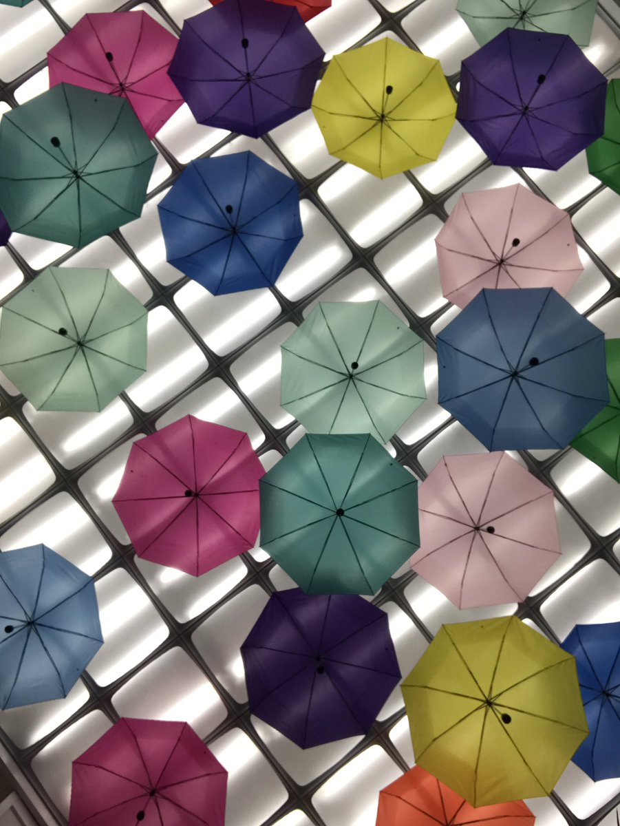 Lovely end of the school year celebration with the Stars of FDLRS Galaxy at Rooster in the Garden.