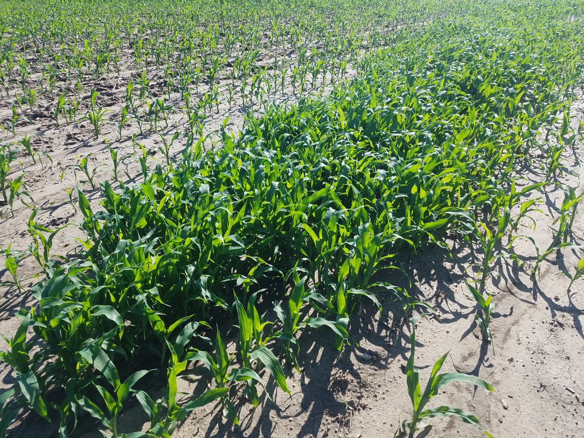 LEAADFarms tweet picture