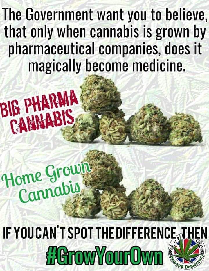 MedicalMMJ's tweet photo. #Cannabis #LegalizeIt and #GrowYourOwn https://t.co/1aEnCHE4sQ