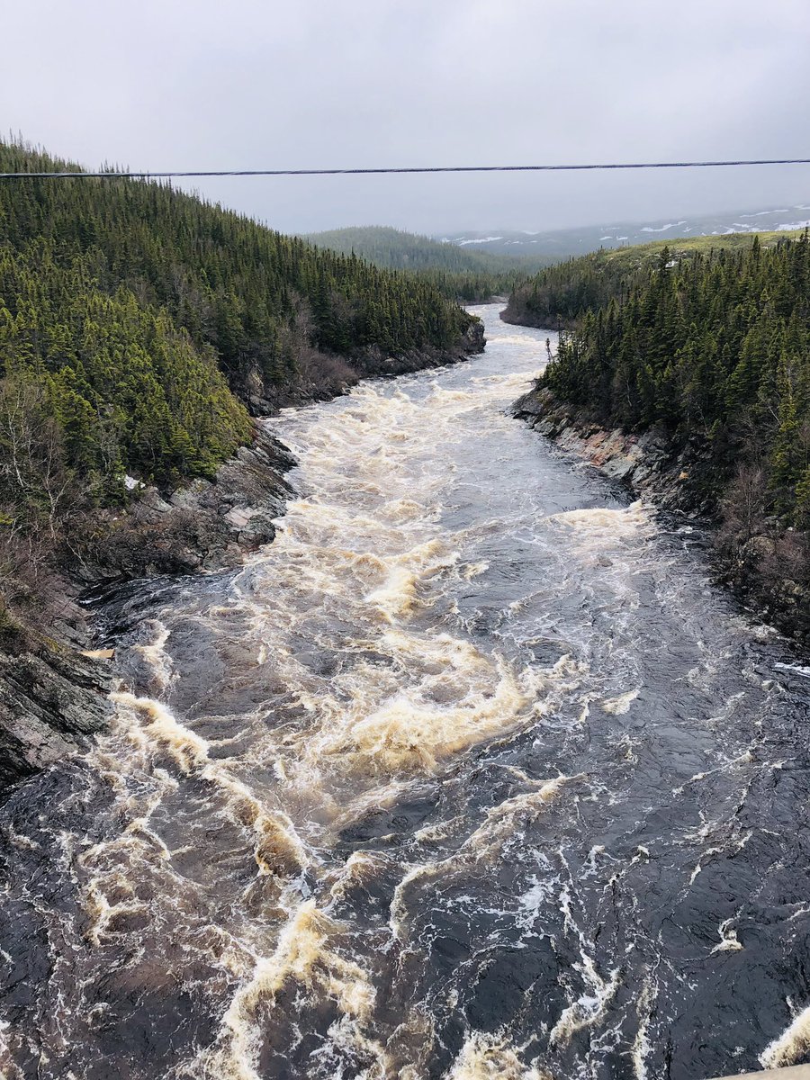 Mighty Pinware River!#pinwareriver#lotsofwater