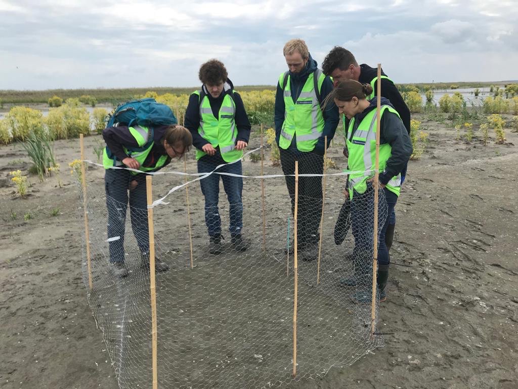 Another beautiful day at the Marker Wadden: Brainstorming and exchanging ideas with Christine Angelini from the University of Florida <a href="/markerwadden/">Roel Posthoorn</a>  @Natuurmonument <a href="/Radboud_Uni/">Radboud University</a>