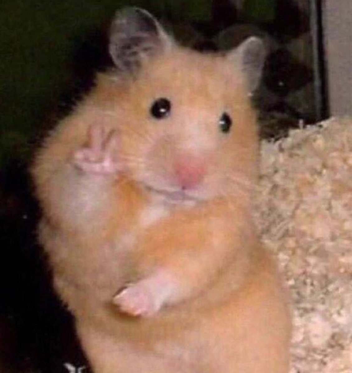 LILBABYDAN's tweet photo. #GCSEs2019 #aqageography 

me in paper 1 vs paper 2 https://t.co/PJp0Sg4xjL