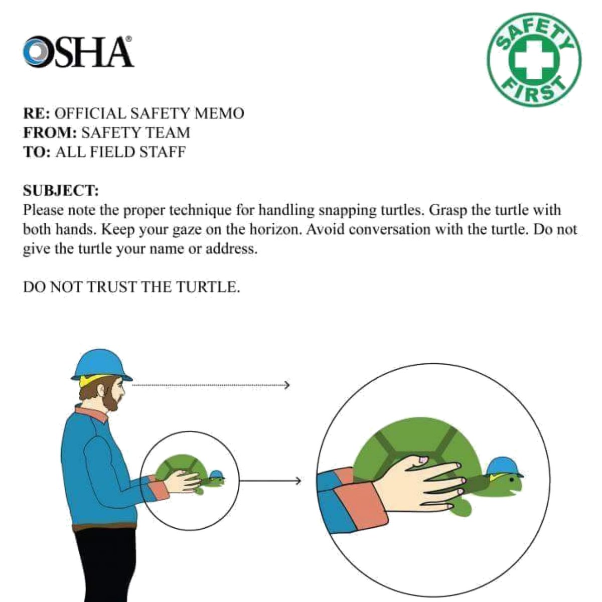Chester Turtle (@TheTurtleTales) / Posts / X