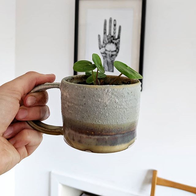 hannah_s_design's tweet photo. Here's one of the mugs I made recently, the first I've ever made but the glaze didn't come out quite how I was expecting. Most of them got stuck to the kiln shelf and have massive chips on the base...! I've used three of them as little plant pots and the… https://t.co/y1huheq3jG https://t.co/Jf5ZXq8pkA
